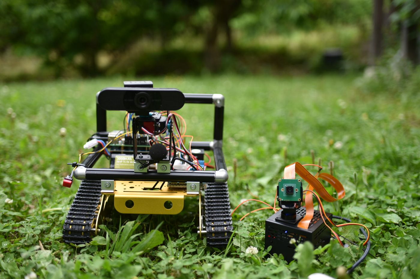 原っぱの草の上に並ぶ二台のフィジカルAIロボット（2026.5.8）